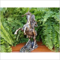 INDIANIN ZE STRZELB�  NA KONIU VERONESE  (WU75819A4)