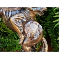 INDIANIN ZE STRZELB�  NA KONIU VERONESE  (WU75819A4)