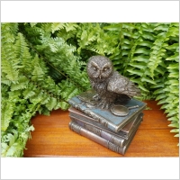 �NIE�NA SOWA NA KSI��KACH SZKATU�KA VERONESE (WU75511A4)