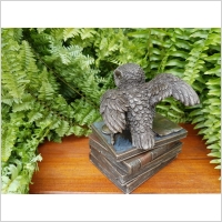 �NIE�NA SOWA NA KSI��KACH SZKATU�KA VERONESE (WU75511A4)