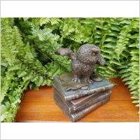 �NIE�NA SOWA NA KSI��KACH SZKATU�KA VERONESE (WU75511A4)