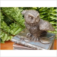 �NIE�NA SOWA NA KSI��KACH SZKATU�KA VERONESE (WU75511A4)