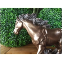 WYJ�TKOWA RZE�BA - KONIE W GALOPIE- VERONESE (WU75251A4)
